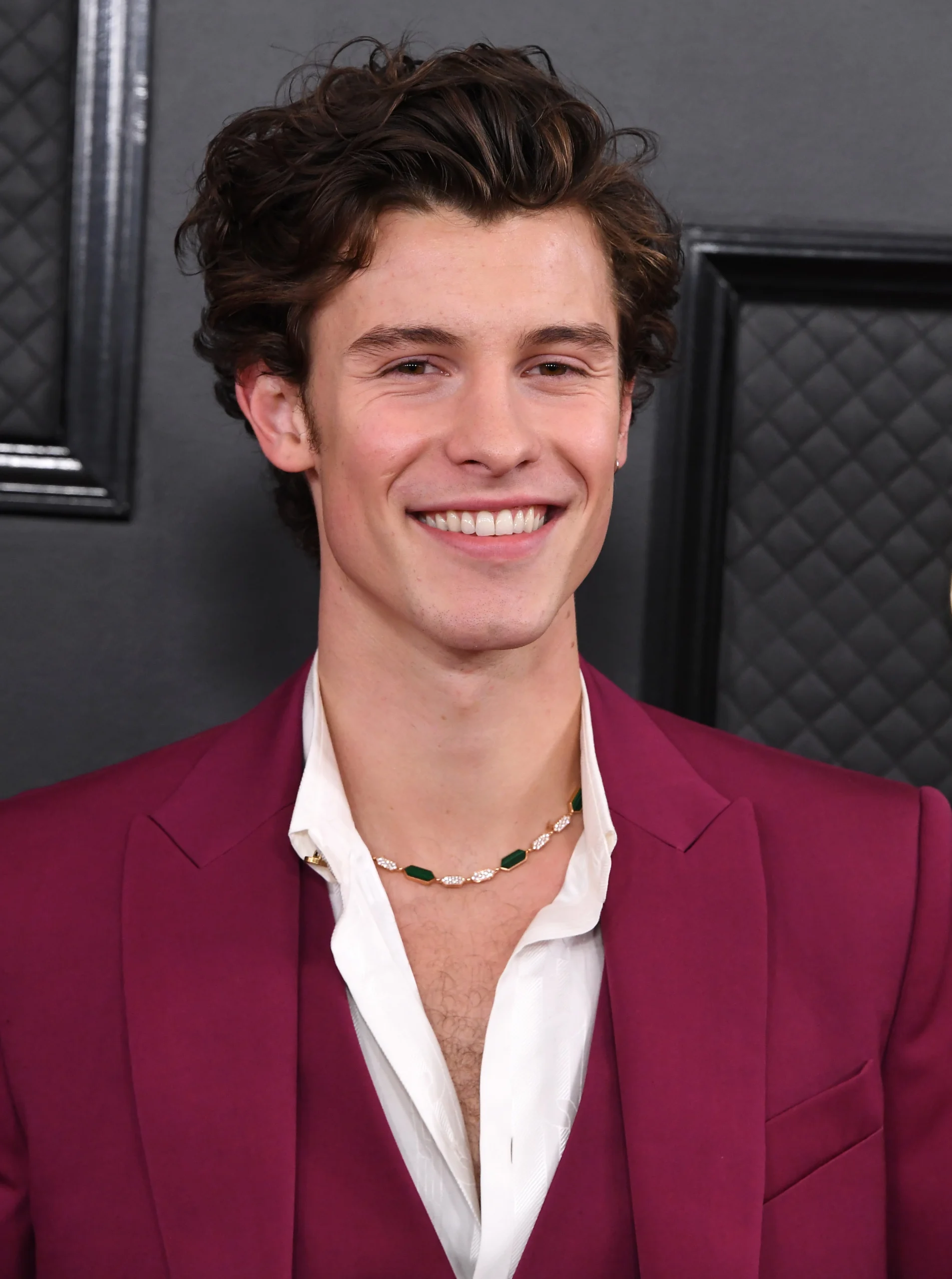 Shawn Mendes scaled